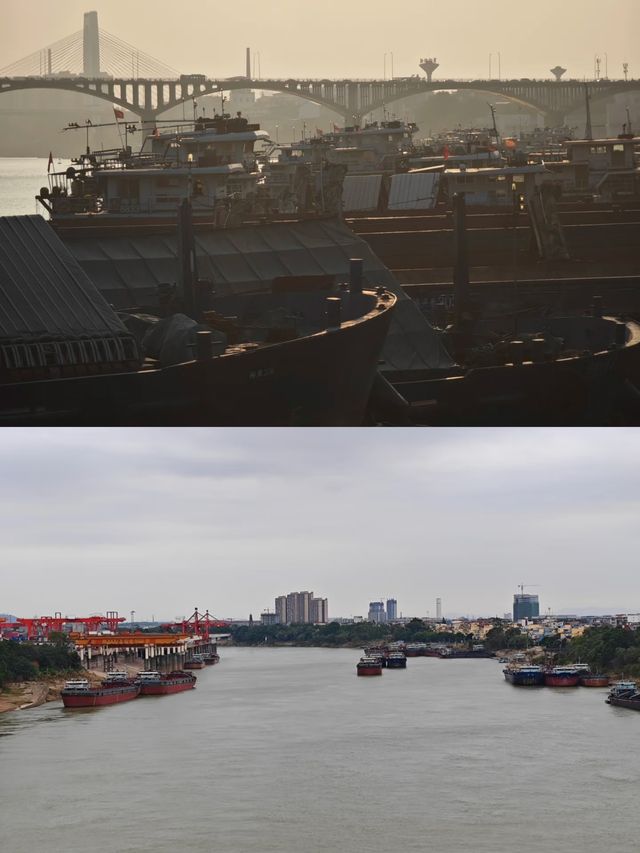 探索廣西貴港大東碼頭：繁忙背後的故事