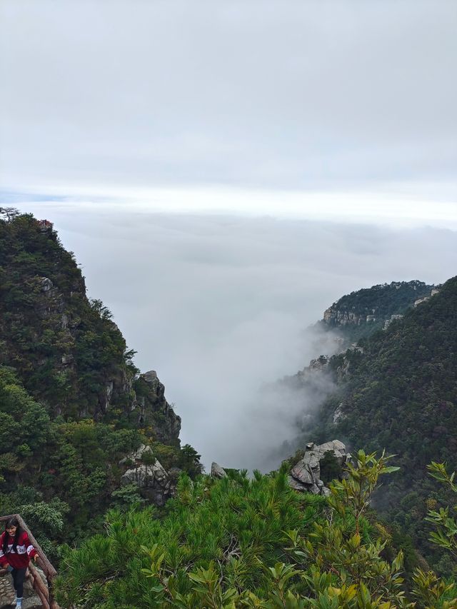 廬山3月淡季免門票