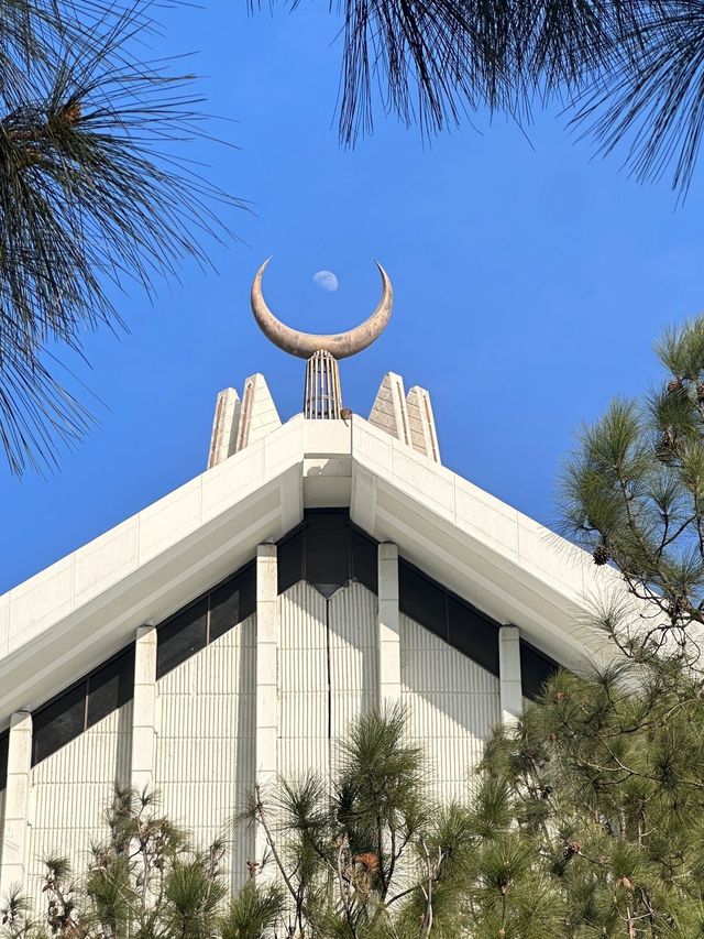 巴基斯坦探秘 解鎖博物館裡的千年傳說