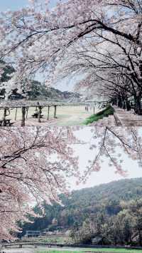打卡韓國城市＋①