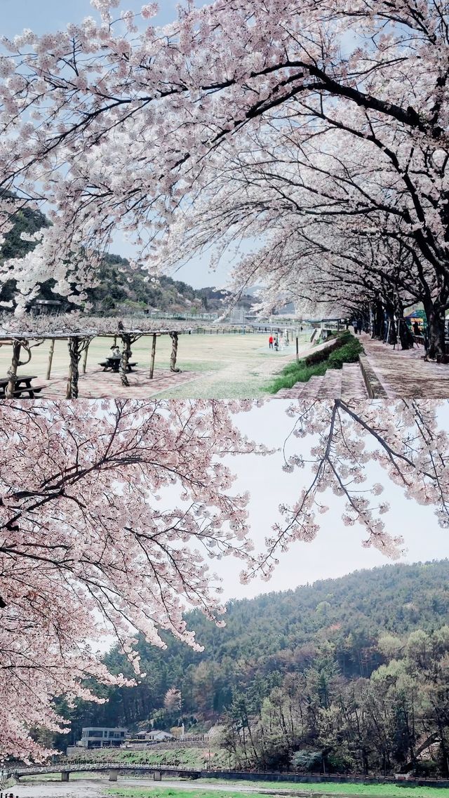 打卡韓國城市＋①