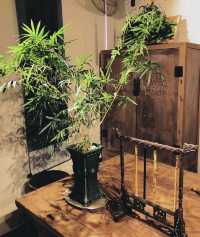 一半山水詩意，一半古鎮煙火