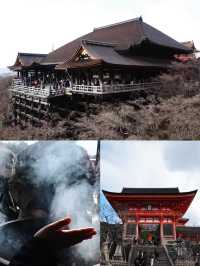 【京都旅行｜两天一夜超精緻攻略✨附拍照聖地&美食地图】