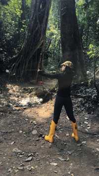 大學生真實實測，西雙版納雨林徒步0踩雷攻略