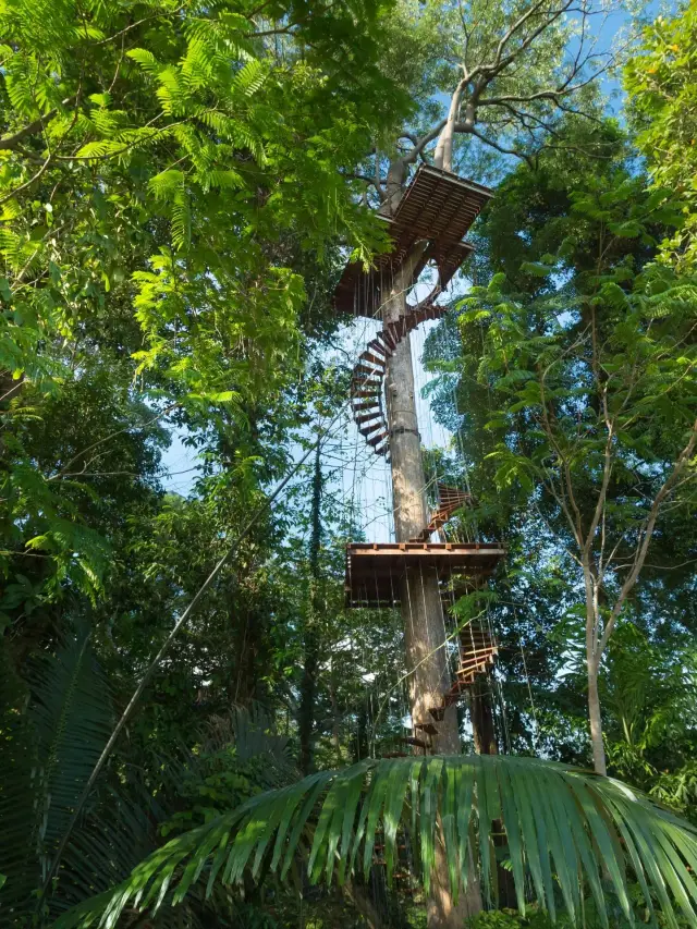 เที่ยวไทยแบบเจาะลึก 6 วัน รับไปเลยคู่มือฉบับเต็ม