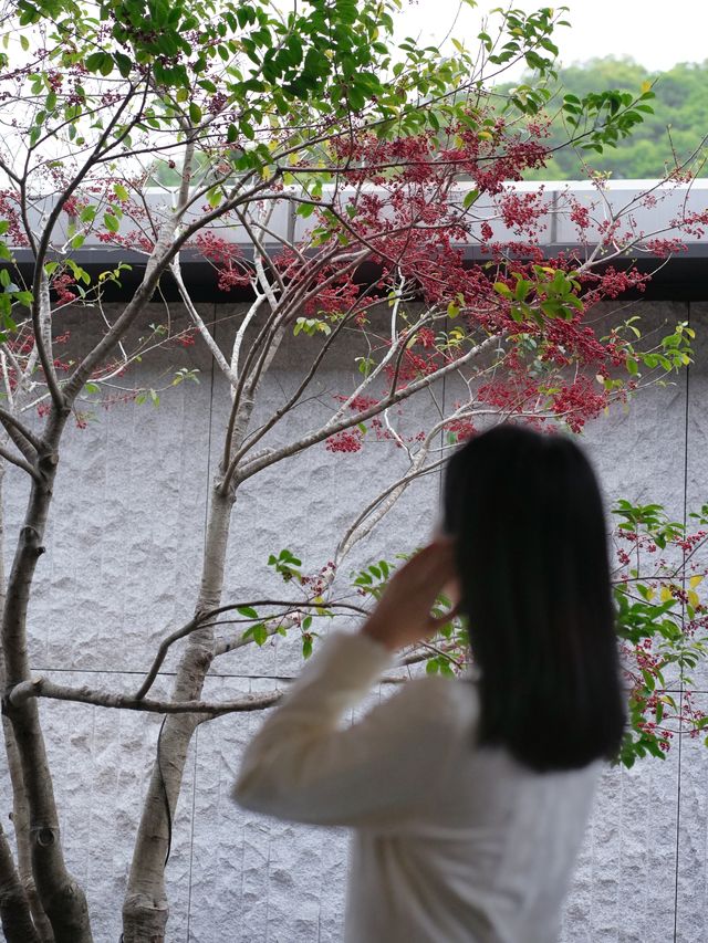 為這中式美學瘋狂心動廣州市區避世秘境