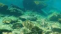 Explore Malaysia's Hidden Gem: Redang Island