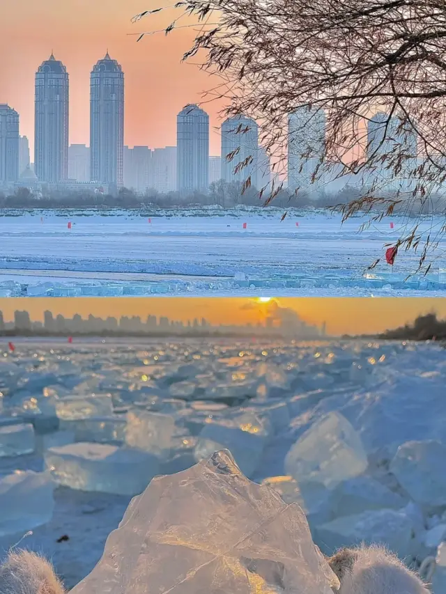 屋企人都睇到呆咗！哈爾濱冰雕展真係好威