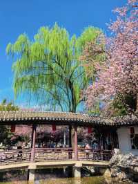 北京都能拍出江南大片丨紫竹院友賢山館