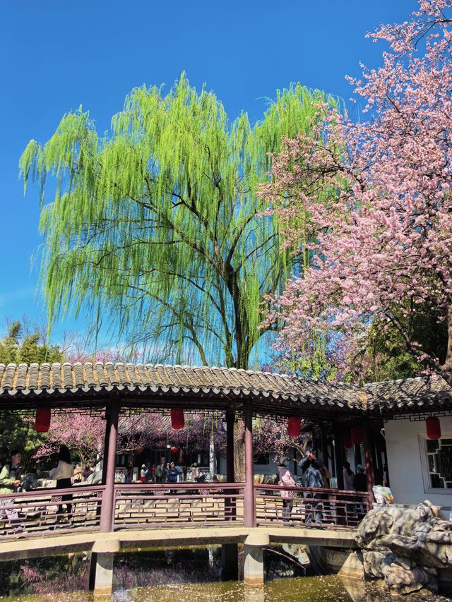 北京都能拍出江南大片丨紫竹院友賢山館