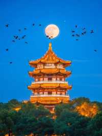嘉興-杭州4日遊 玩轉雙城不留遺憾超詳細攻略來襲