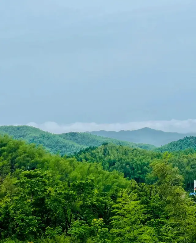 Xingxing Bamboo Sea Scenic Area, Xianning