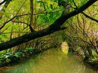 Nansha Wet Land: Pearl River Delta Relaxation Oasis