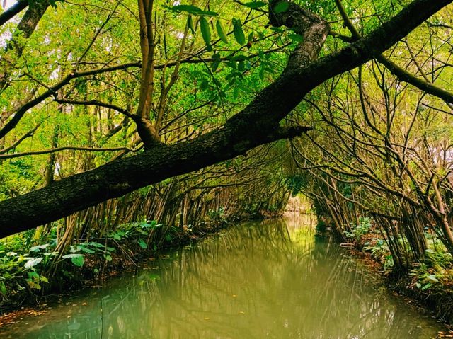 Nansha Wet Land: Pearl River Delta Relaxation Oasis