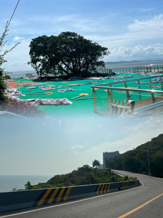 在汕頭，必推薦南澳島·孤獨的樹，看絕美日出