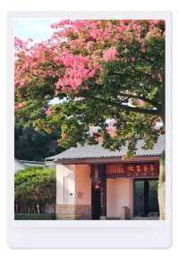 「3個被時光偏愛的文藝秘境，廈門藏在街角的海島詩篇」