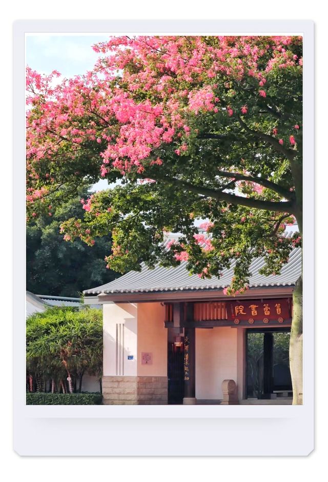 「3個被時光偏愛的文藝秘境，廈門藏在街角的海島詩篇」