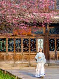 剛從烏鎮春遊回來，熬夜整理2天1夜保姆級攻略