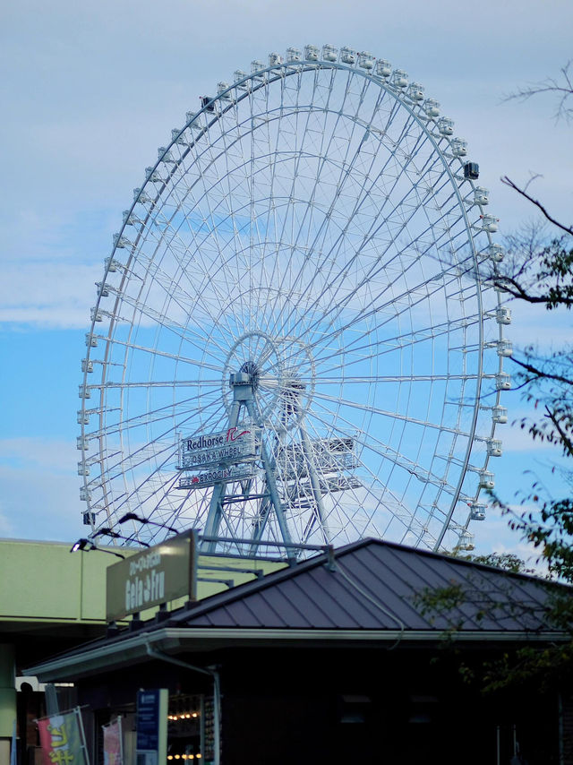 大阪市郊散步——萬博紀念公園
