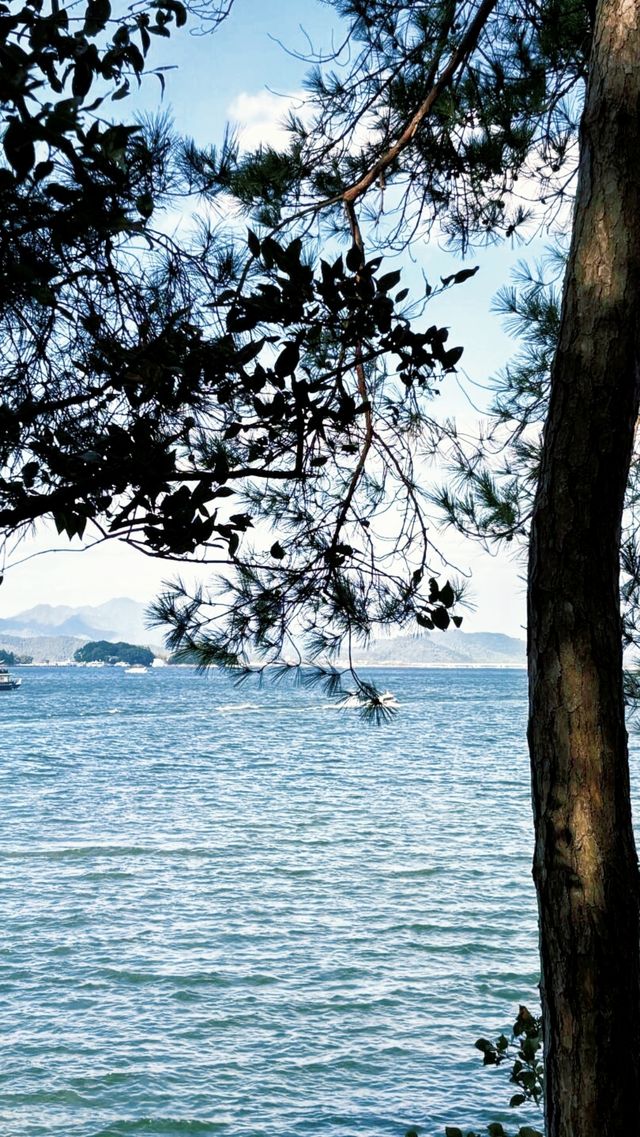 不允許你還不知道，千島湖旅遊景點保姆級攻略