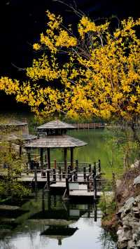 濟南九如山實況｜掉進油畫裡的秋天