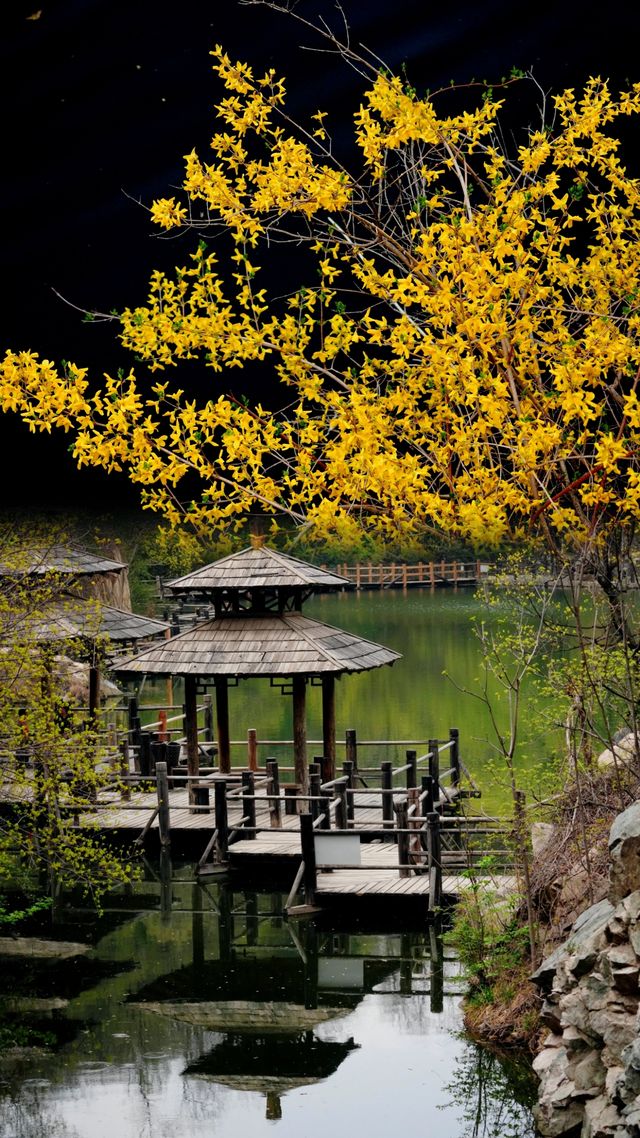 濟南九如山實況｜掉進油畫裡的秋天