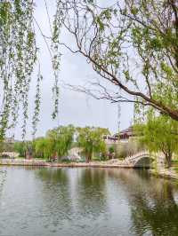 德州旅遊必備攻略（超全）