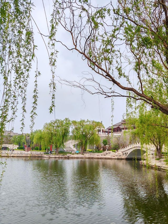 德州旅遊必備攻略（超全）