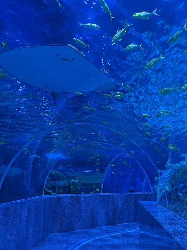 廈門海上世界｜浪漫氛圍感出片指南