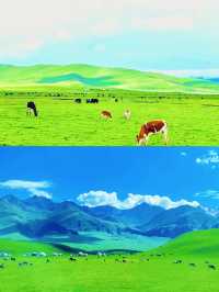 甘南旅遊：人間秘境，信仰與美食的朝聖之旅