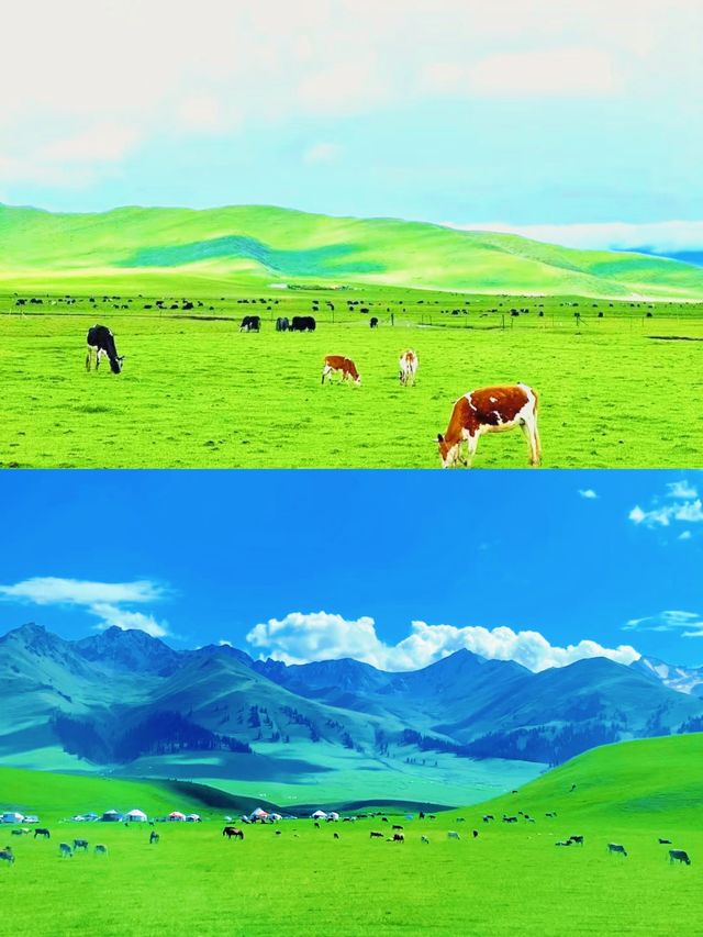 甘南旅遊：人間秘境，信仰與美食的朝聖之旅