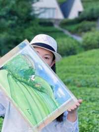 龍形沖民宿，躺看茶山星空