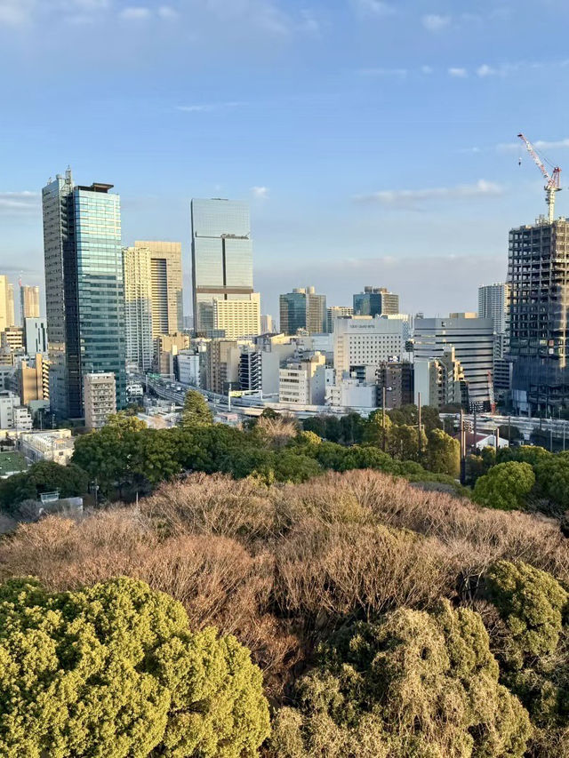 在綠意與皇居之間靜享東京