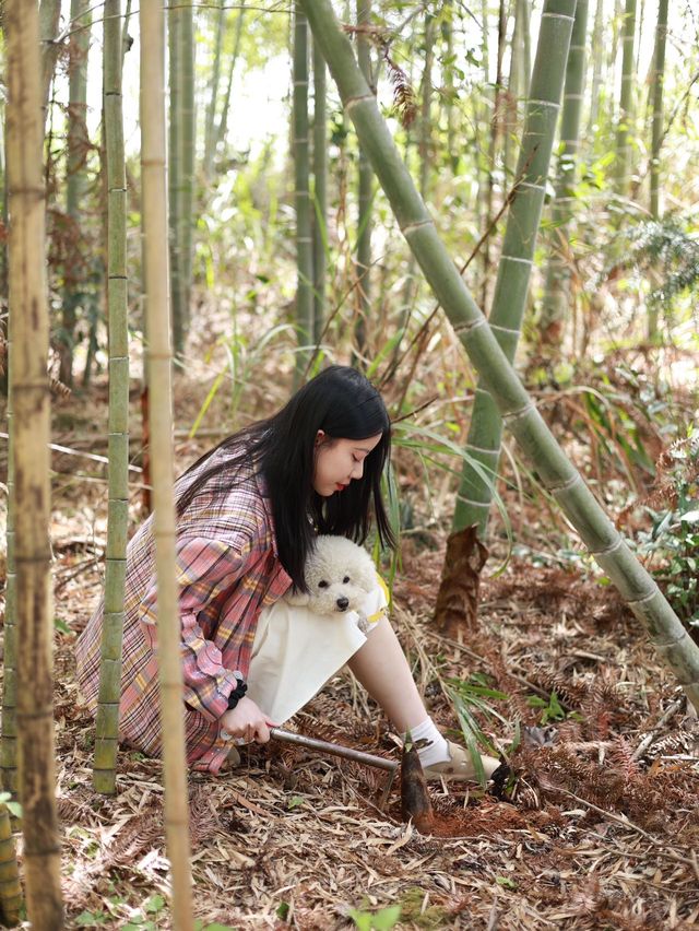 治癒系度假，藏在山林間的理想生活！