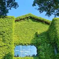 廣州蒲洲花園綠房子與明珠灣大橋｜地鐵直達的絕美海邊打卡秘境