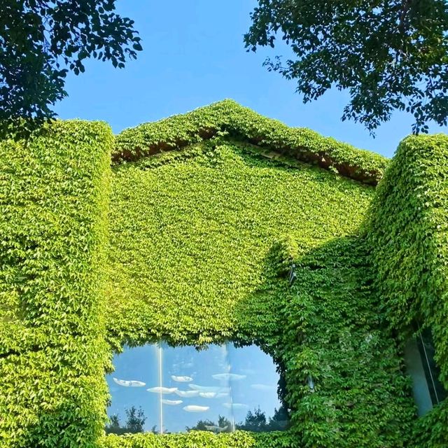 廣州蒲洲花園綠房子與明珠灣大橋｜地鐵直達的絕美海邊打卡秘境