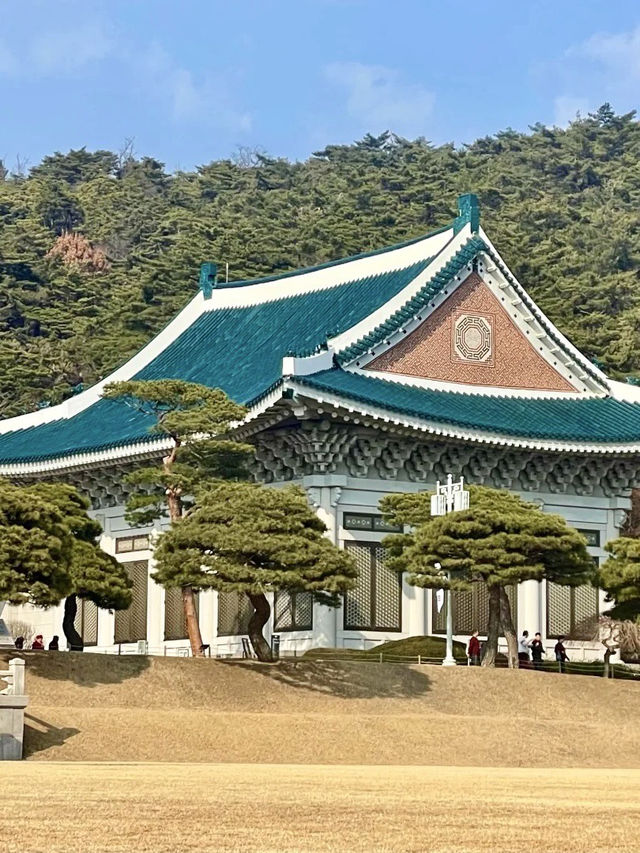 政苑之上的蒼穹