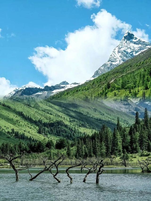五一必衝!不輸瑞士的四姑娘山