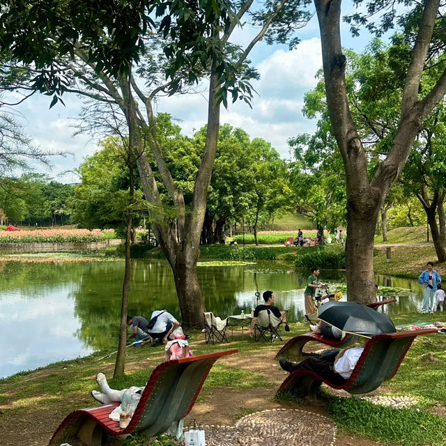 深圳·去一次就會愛上的公園🍃中心公園