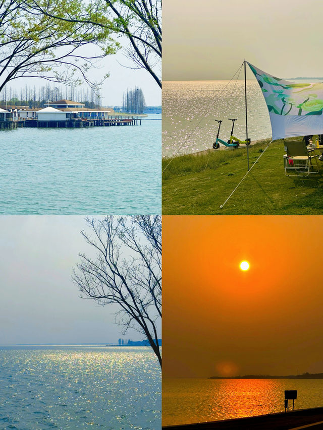 這是洱海嗎這是上海郊區