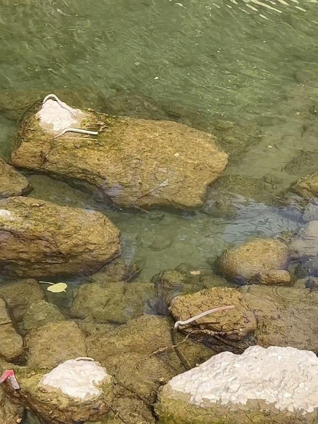 逃離城市！夏天去呢度露營，仲爽過喺冷氣房