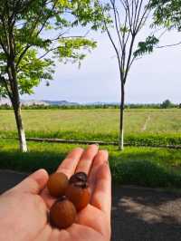 漩門灣濕地公園冇人嘅感覺實在太正啦