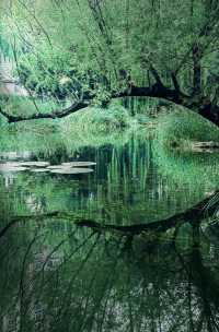 呢度唔止有神樹！北京治癒系帶娃公園！詳見攻略！