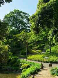 舊古河庭園交通攻略：輕鬆抵達日西融合庭園
