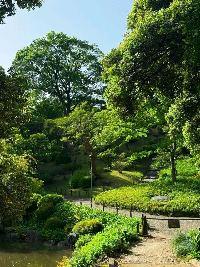 舊古河庭園交通攻略：輕鬆抵達日西融合庭園