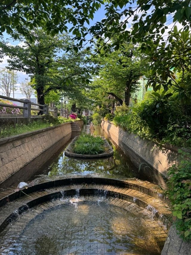 你知道嗎？東京有許多橫穿城市的超長綠道