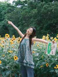 救命！在深圳撞進了向日葵的盛夏時光🌻每一幀都像被陽光吻過的浪漫畫報！