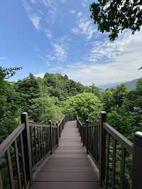 成都3小時即達！闖入綠野仙蹤瀑布群杜鵑花海追猴子