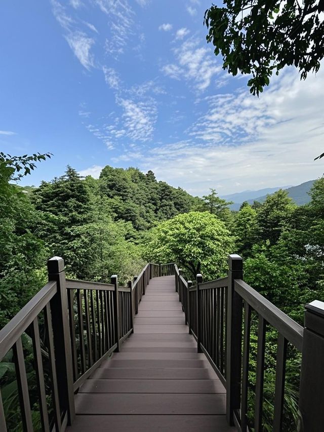 成都3小時即達！闖入綠野仙蹤瀑布群杜鵑花海追猴子
