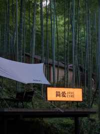 山野初夏，清涼竹海的悠然時光